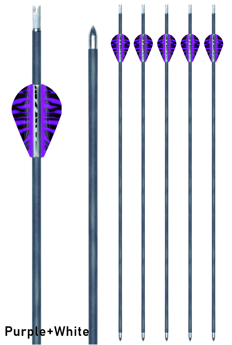 4.2mm Pure Carbon Arrow With 2" Brazzers Vanes