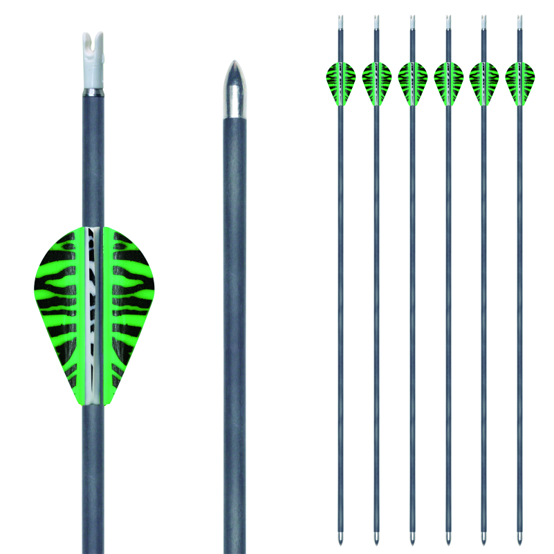 4.2mm Pure Carbon Arrow With 2" Brazzers Vanes