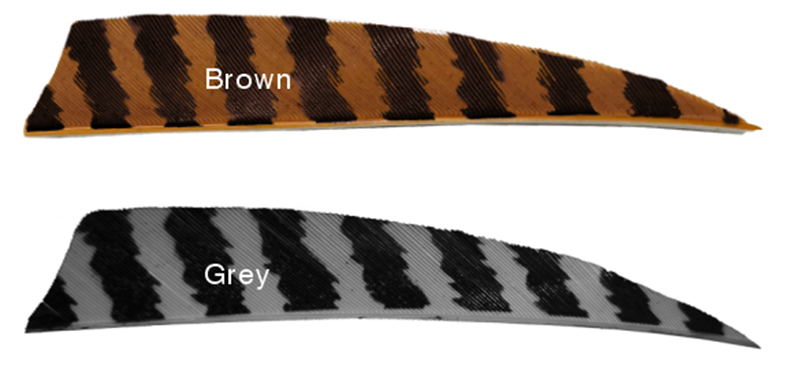 Arrow Feathers 3" 4" 5" Shield Barred Feathers 