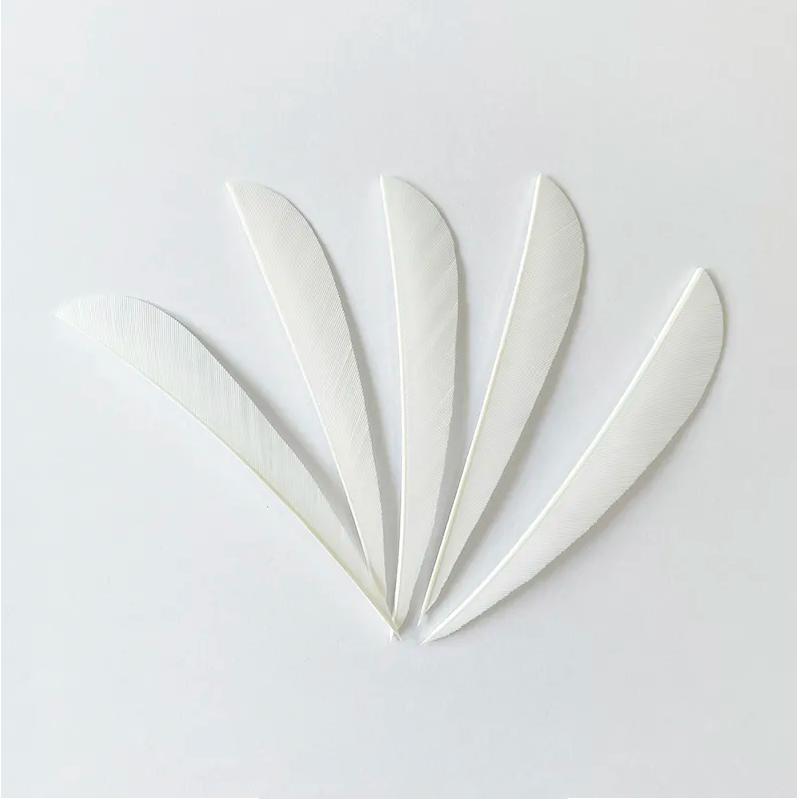 Feather Fletchings for Arrows 3" 4" 5" Parabolic